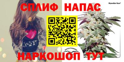 наркотики Аргун