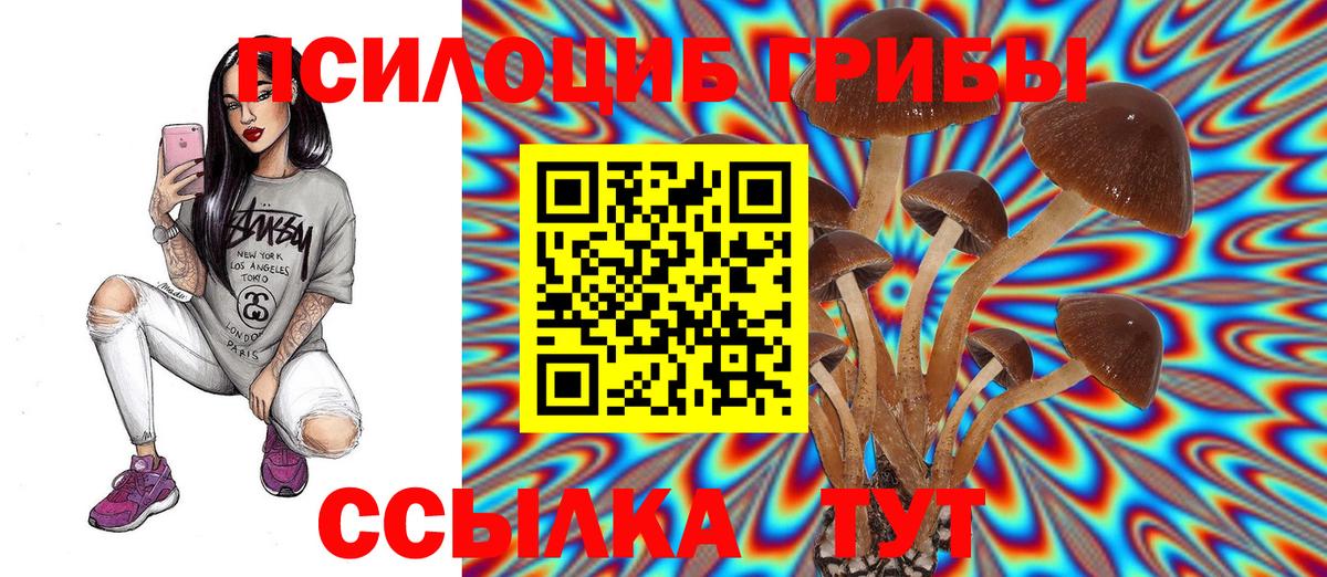 Псилоцибиновые грибы Psilocybe  закладки  Асбест  Вход с VPN  Псилоцибиновые грибы прущие грибы 
